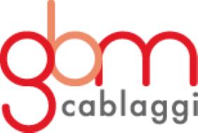 Gbm srl